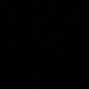 Meet your Posher, Rosemary